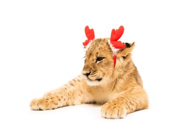 Kırmızı geyik boynuzları takmış şirin aslan yavrusu beyaz saç bandı üzerinde izole edilmiş.