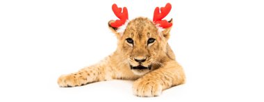 Kırmızı geyik boynuzları takmış şirin aslan yavrusu beyaz saç bandı üzerinde izole edilmiş.
