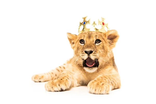 Niedliches Löwenjunges Goldener Krone Isoliert Auf Weiß — Stockfoto