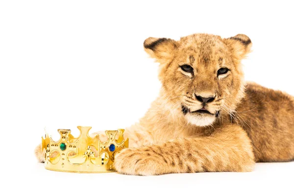 Niedliches Löwenjunges Der Nähe Der Goldenen Krone Isoliert Auf Weiß — Stockfoto