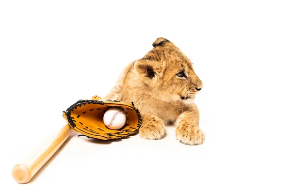 Cute Lion Cub Baseball Equipment Isolated White — Stock Photo, Image