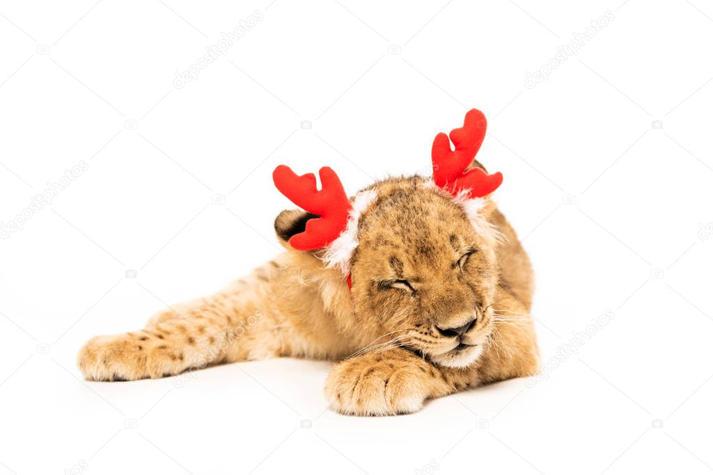 cute lion cub with closed eyes in red deer horns headband isolated on white