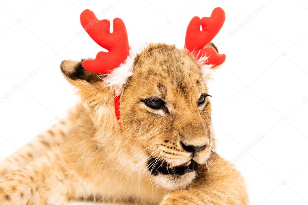 close up view of cute lion cub in red deer horns headband isolated on white