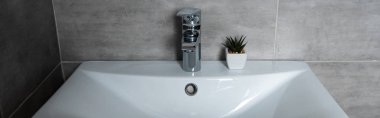 Panoramic shot of washbasin with plant in modern restroom clipart