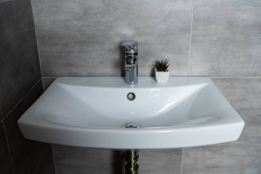 Banyoda bitki ve gri fayanslı temiz lavabo.