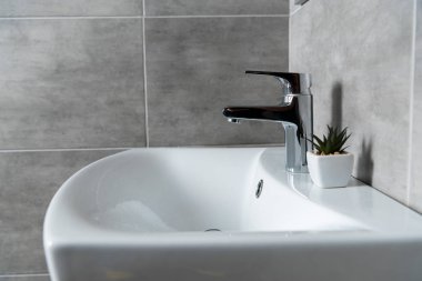 Tuvalette gri fayanslı bitki dolu seramik lavabo.