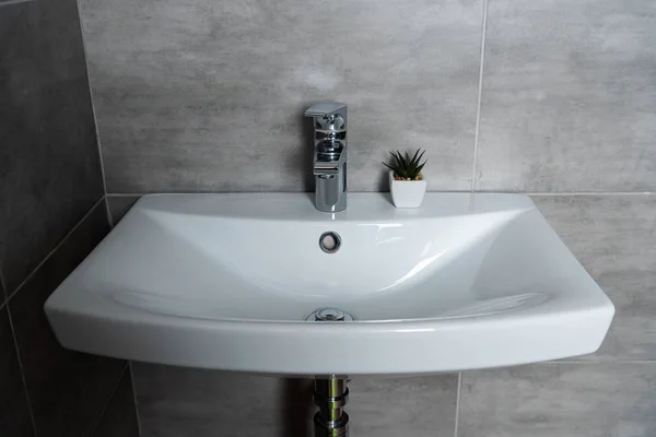 Banyoda Bitki Gri Fayanslı Temiz Lavabo — Stok fotoğraf
