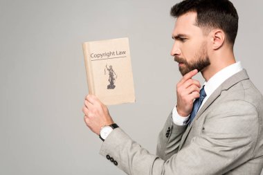 Ciddi avukatların telif hakkı hukuku başlıklı kitap okumalarının yan görünüşü gri üzerine izole edilmiş