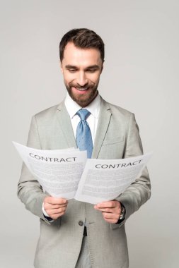 Yakışıklı iş adamı sözleşmeleri okuyor ve gri renkte sırıtıyor.