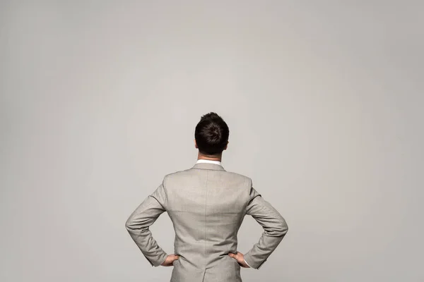 Back View Businessman Standing Hands Hips Isolated Grey — Stock Photo, Image