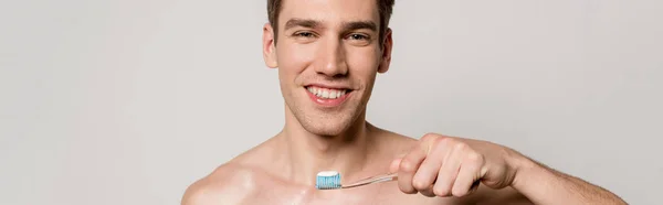 Glimlachende Sexy Man Met Kale Romp Vasthouden Tandenborstel Geïsoleerd Grijs — Stockfoto