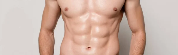 Cropped View Sexy Man Muscular Torso Isolated Grey Panoramic Shot — Stock Photo, Image