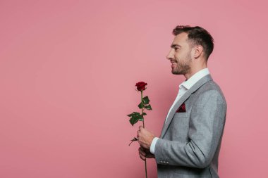 Gülümseyen sakallı adam elinde kırmızı gül, pembe üzerinde soyutlanmış.