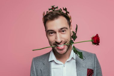 Dişlerinde kırmızı gül tutan, pembe üzerine izole edilmiş taç giymiş neşeli bir adam.