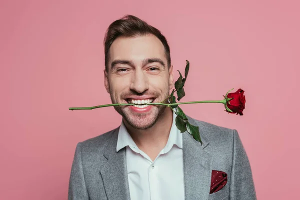 Cheerful Man Suit Holding Red Rose Teeth Isolated Pink — Stock Photo, Image