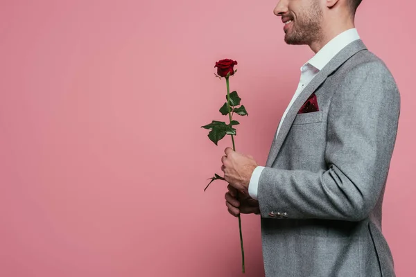 Vue Recadrée Homme Costume Tenant Fleur Rose Rouge Isolé Sur — Photo