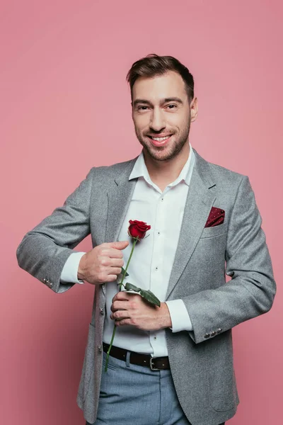 Cheerful Bearded Man Suit Holding Red Rose Isolated Pink — Stock Photo, Image