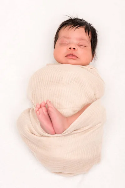 白に隔離された毛布の中に包まれた可愛い混合種の赤ん坊の上からの眺め — ストック写真