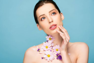 naked young woman with flowers on neck touch face isolated on blue 
