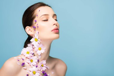 attractive and naked woman with blooming flowers on body isolated on blue 
