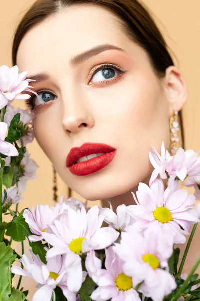 Menina Bonita Olhando Para Longe Perto Florescendo Flores Crisântemo Isolado — Fotografia de Stock