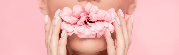 Обрезанный Вид Нежной Женщины Держащей Розовый Цветок Рту Изолированный Розовый — стоковое фото