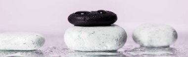 Panoramic shot of zen stones with water drops on wet glass on purple background clipart