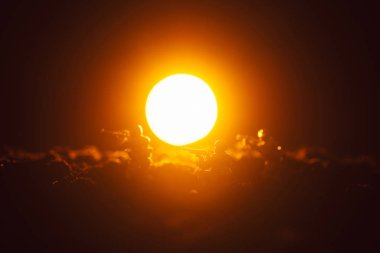 Oyuncak askerlerle savaş sahnesi ve siyah arka planda gün batımı