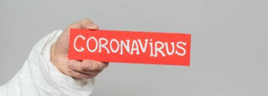 cropped view of epidemiologist holding warning card with coronavirus inscription isolated on grey, panoramic shot
