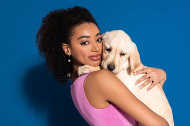 smiling african american woman holding golden retriever puppy on blue background
