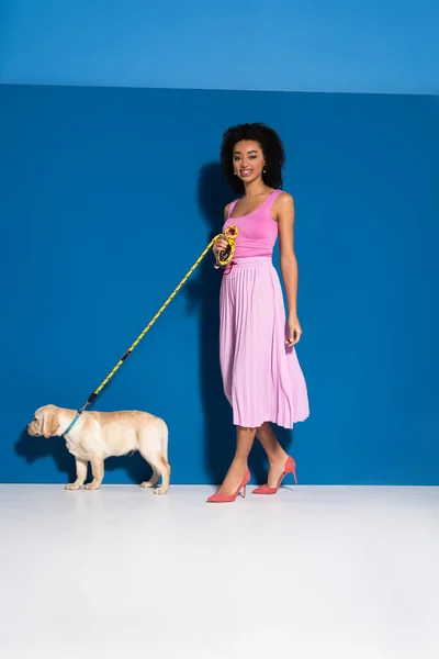 Elegant Smiling African American Woman Golden Retriever Puppy Leash Blue — Stock Photo, Image