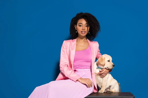 African American Woman Sitting Golden Retriever Puppy Blue Background — Stock Photo, Image