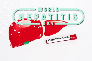 Hepatit örneği dünya çapında hepatit gününde kullanılan bir test ve karaciğeri beyaz üzerine çizilmiş. 