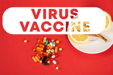 Dilimlenmiş limonların ve tarçın çubuklarının üst görüntüsü kırmızı harflerle yazılmış hap ve virüs aşısının yanında. 