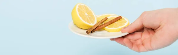 Panoramic Shot Man Holding Plate Sliced Lemons Cinnamon Sticks Isolated — Stock Photo, Image