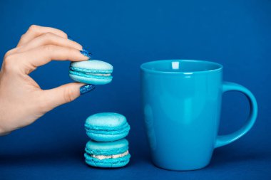 cropped view of woman holding french macaroon near cup on blue background  clipart