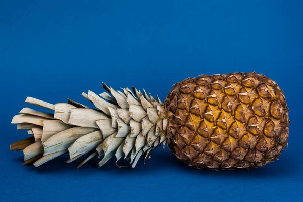 Lekker Biologisch Hele Ananas Blauwe Achtergrond Met Kopieerruimte — Stockfoto