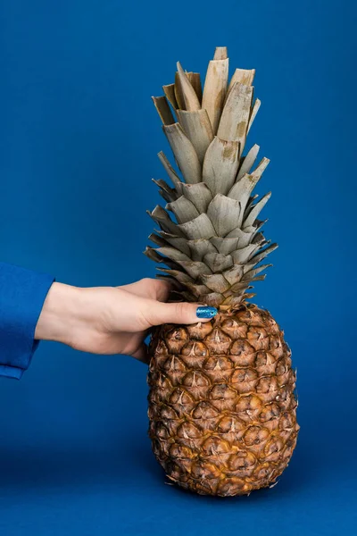 Bijgesneden Uitzicht Van Vrouw Met Smakelijke Hele Ananas Blauwe Achtergrond — Stockfoto