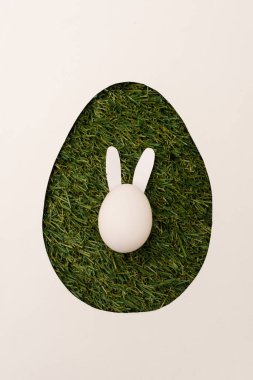Yumurta şekilli çerçevenin üst görüntüsü. Beyaz çimlerin üzerinde paskalya tavşanı.