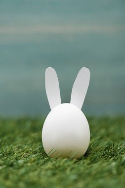 Çimlerin üzerinde süslü beyaz tavşan, Paskalya konsepti