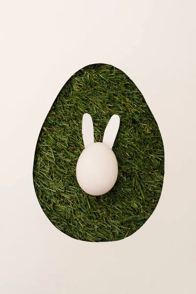 Top View Egg Shape Frame Easter Bunny Grass Isolated White — Stock Photo, Image