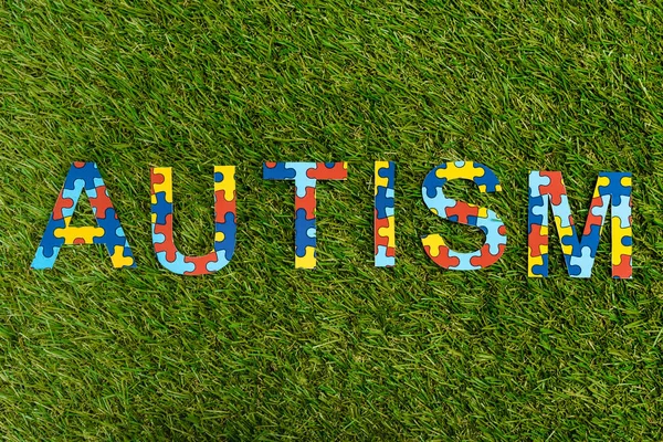 緑の背景に自閉症パズルのレタリングのトップビュー — ストック写真