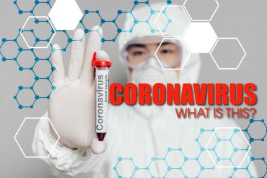 Tehlikeli madde giysisi ve solunum maskesi içinde Asyalı epidemiyologların seçici odak noktası gri arka planda kan örneği ve koronavirüs çizimi gösteren test tüpü gösteriyor. 
