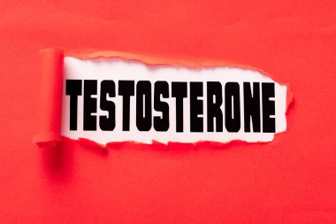 Beyaz yüzeyde kırmızı kağıt deliğinde testosteron harfleri 