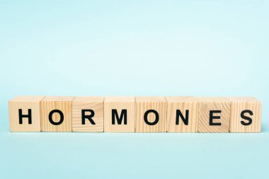 Ahşap küplerin üzerinde mavi arkaplan yazılı hormonlar.