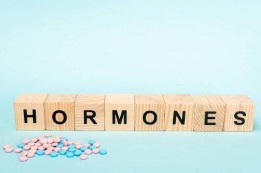 Haplar ve ahşap küplerle mavi yüzeye yazılmış hormonlar.