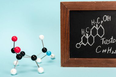 Hormone construction near blackboard with formula of testosterone on blue background clipart