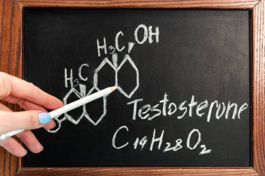 Testosteron formüllü karatahtanın yanında kalem tutan kadın görüntüsü.