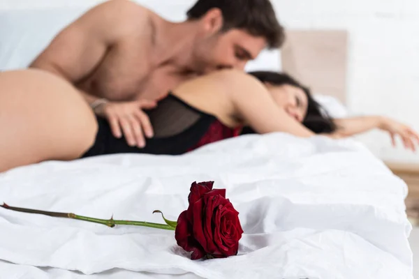 Enfoque Selectivo Rosa Roja Cerca Pareja Apasionada Cama —  Fotos de Stock