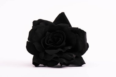 black and blossoming rose on white with copy space clipart